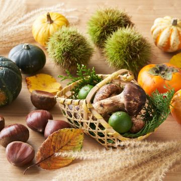  おいしい秋の食べ物を楽しもう！食欲が増す3つの理由も解説